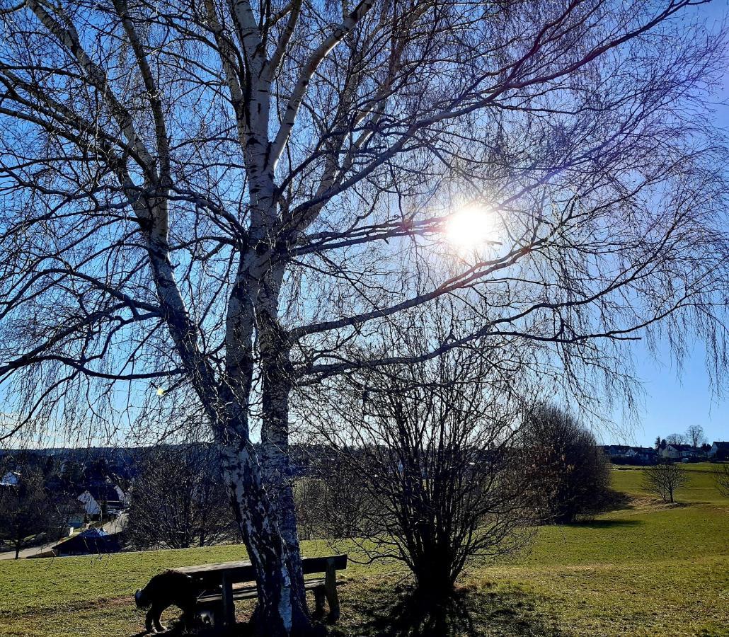 Apartmán Albblick Bad Herrenalb Exteriér fotografie